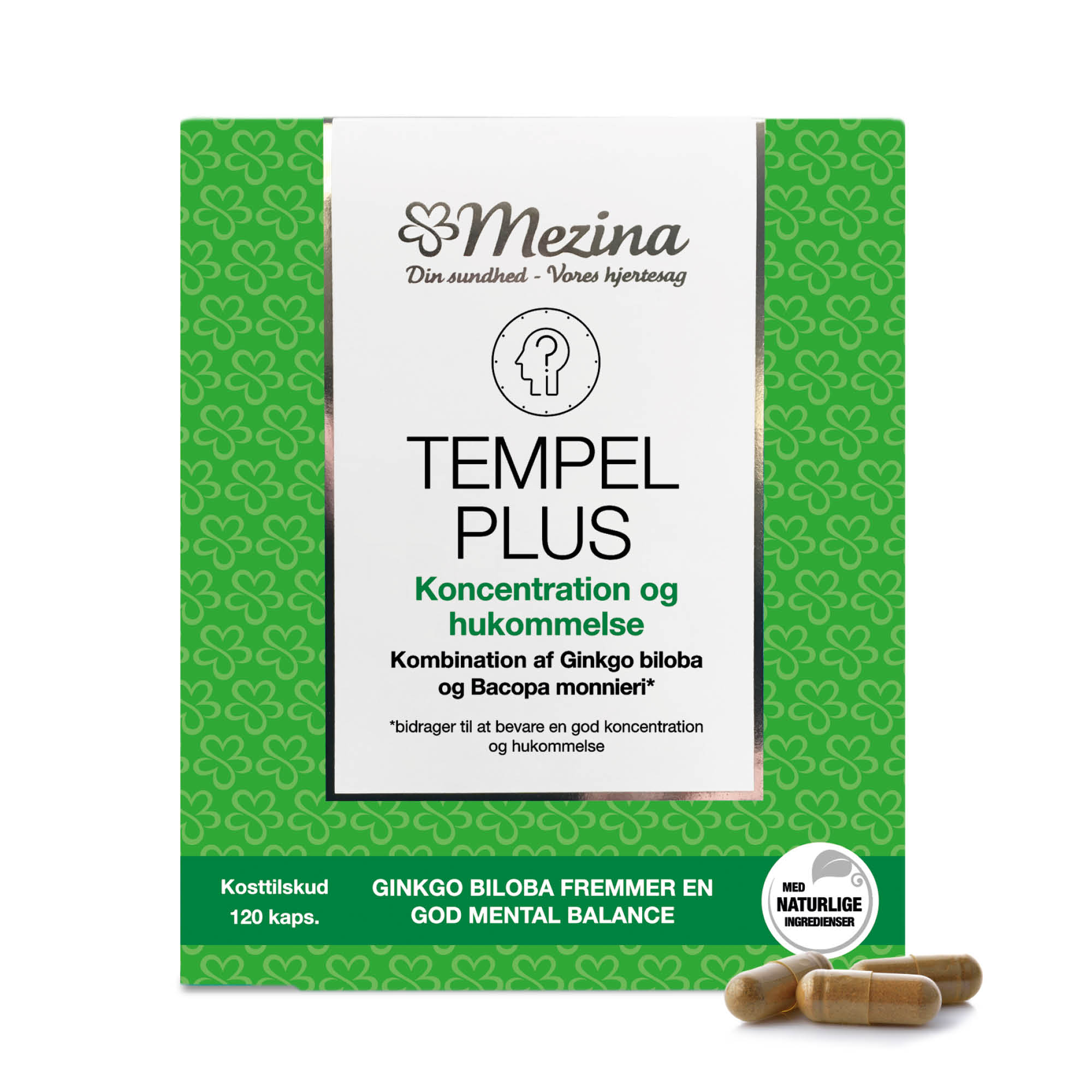 Tempel Plus