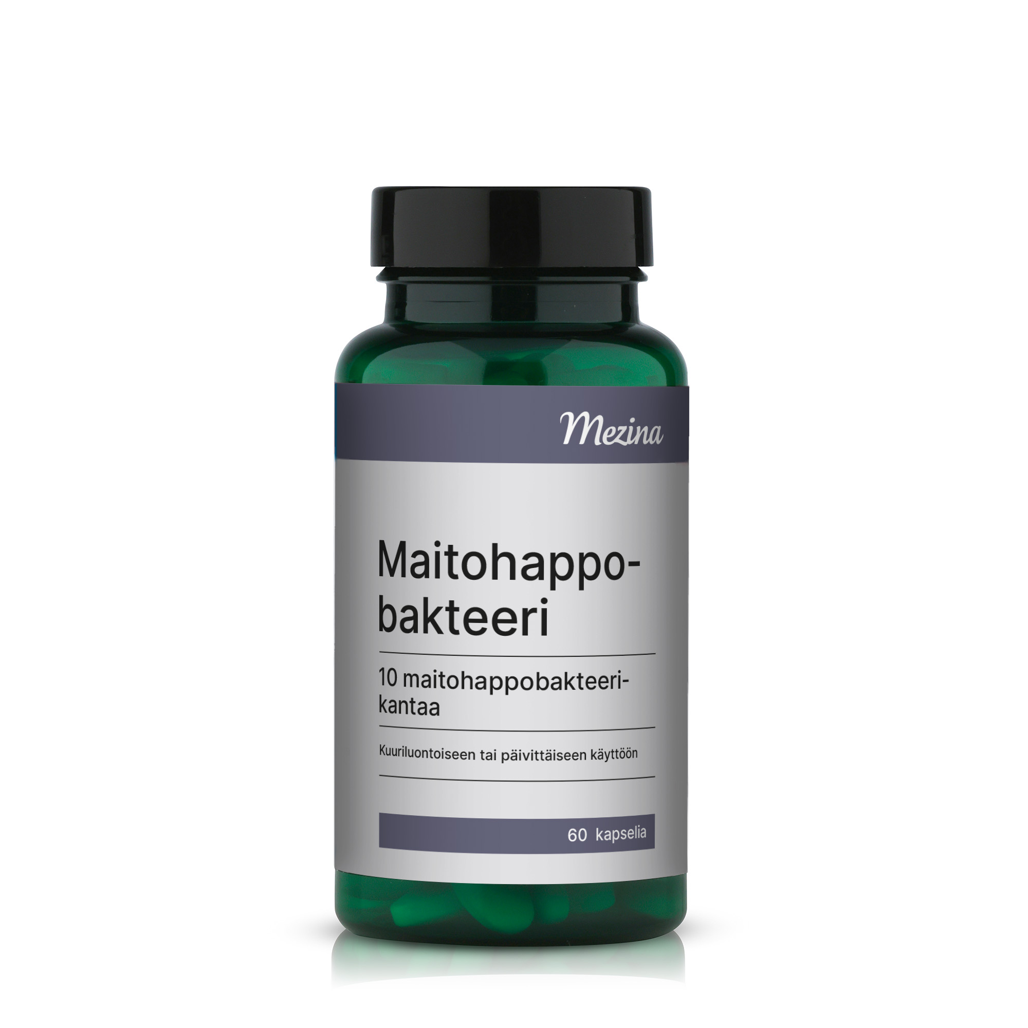 Maitohappobakteeri