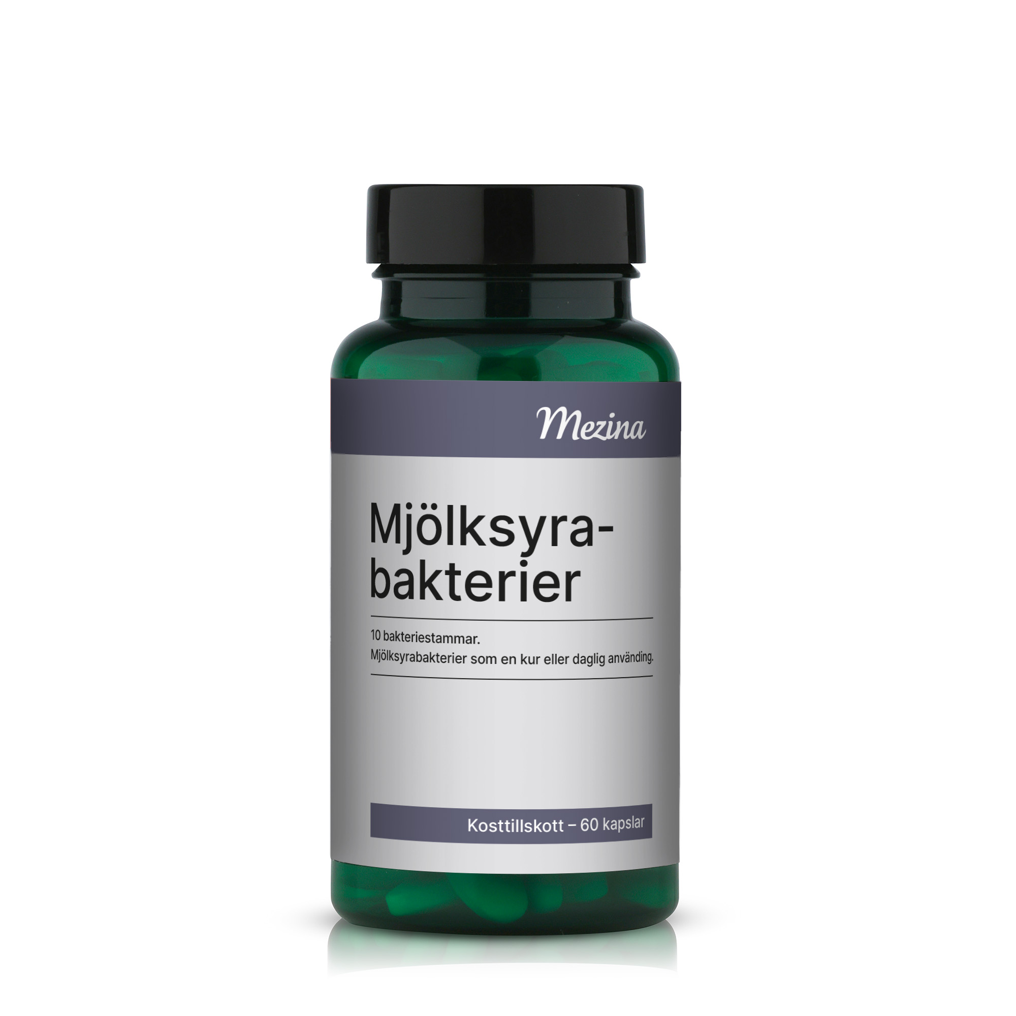 Mjölksyrabakterier